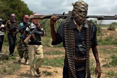 Boko Haram uses AI