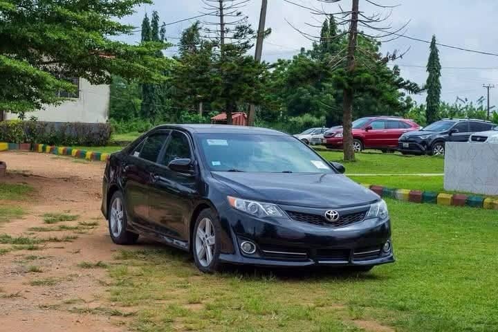Rescued Oyo Principal